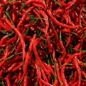 Cabe Merah Keriting
